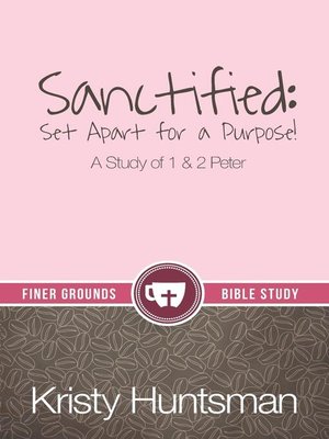 cover image of Sanctified